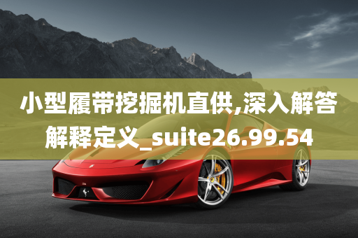 小型履带挖掘机直供,深入解答解释定义_suite26.99.54