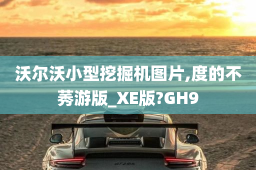 沃尔沃小型挖掘机图片,度的不莠游版_XE版?GH9