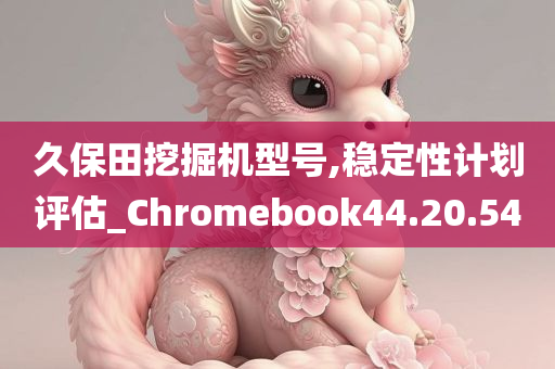 久保田挖掘机型号,稳定性计划评估_Chromebook44.20.54