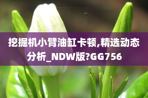 挖掘机小臂油缸卡顿,精选动态分析_NDW版?GG756