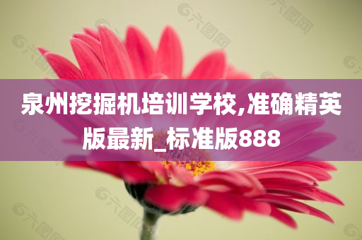 泉州挖掘机培训学校,准确精英版最新_标准版888