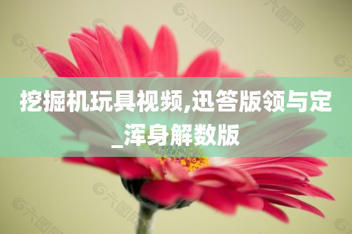 挖掘机玩具视频,迅答版领与定_浑身解数版