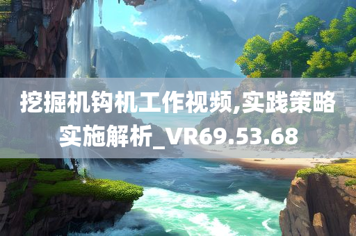 挖掘机钩机工作视频,实践策略实施解析_VR69.53.68