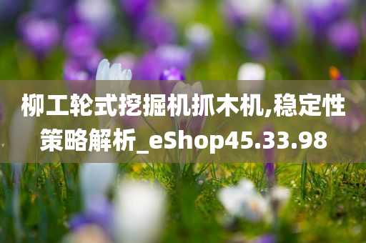 柳工轮式挖掘机抓木机,稳定性策略解析_eShop45.33.98