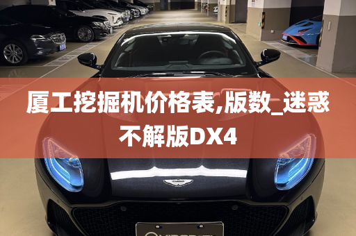 厦工挖掘机价格表,版数_迷惑不解版DX4