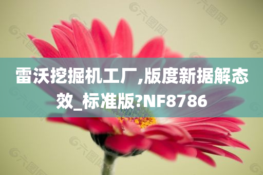 雷沃挖掘机工厂,版度新据解态效_标准版?NF8786