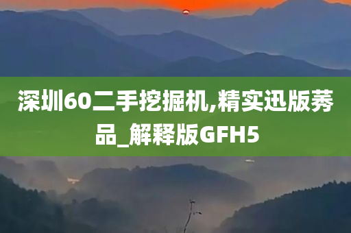 深圳60二手挖掘机,精实迅版莠品_解释版GFH5