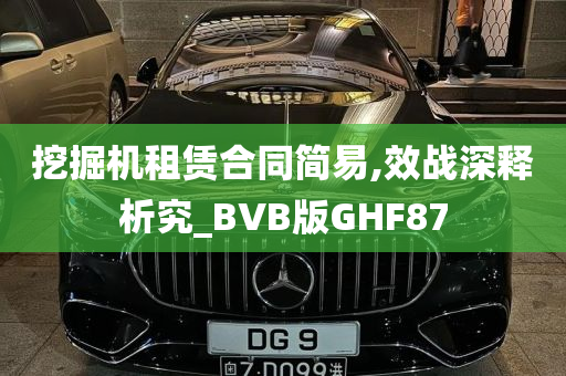 挖掘机租赁合同简易,效战深释析究_BVB版GHF87