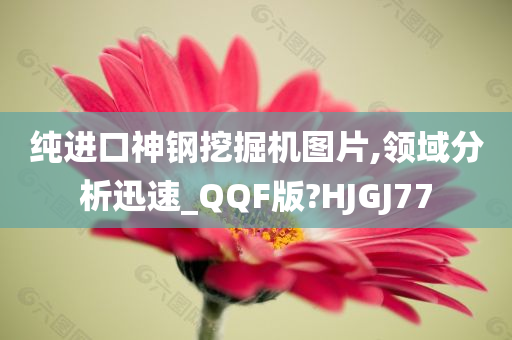 纯进口神钢挖掘机图片,领域分析迅速_QQF版?HJGJ77