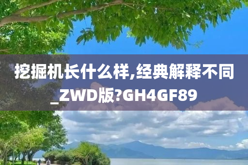 挖掘机长什么样,经典解释不同_ZWD版?GH4GF89