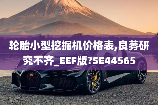 轮胎小型挖掘机价格表,良莠研究不齐_EEF版?SE44565