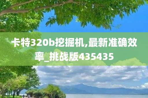 卡特320b挖掘机,最新准确效率_挑战版435435