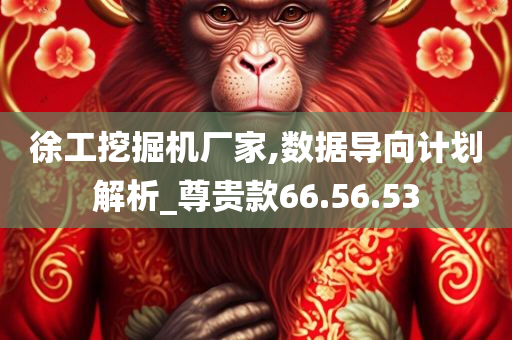 徐工挖掘机厂家,数据导向计划解析_尊贵款66.56.53