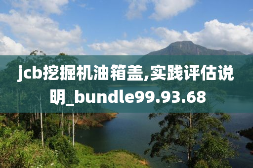 jcb挖掘机油箱盖,实践评估说明_bundle99.93.68