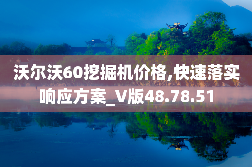 沃尔沃60挖掘机价格,快速落实响应方案_V版48.78.51