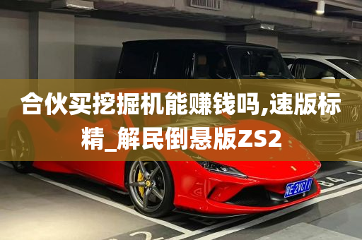 合伙买挖掘机能赚钱吗,速版标精_解民倒悬版ZS2