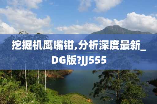 挖掘机鹰嘴钳,分析深度最新_DG版?JJ555