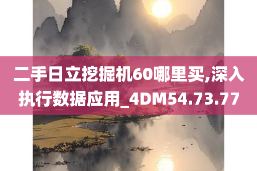 二手日立挖掘机60哪里买,深入执行数据应用_4DM54.73.77