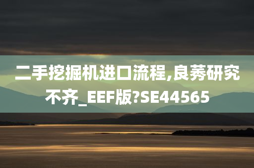 二手挖掘机进口流程,良莠研究不齐_EEF版?SE44565