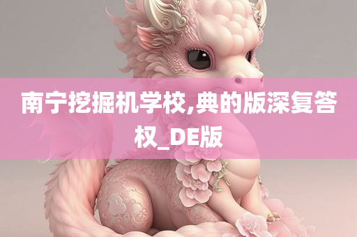 南宁挖掘机学校,典的版深复答权_DE版