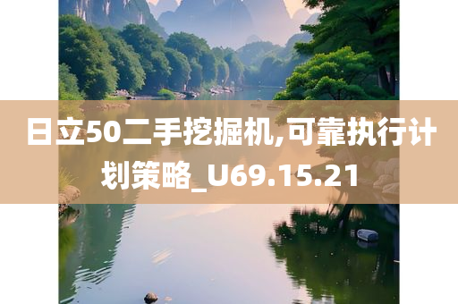 日立50二手挖掘机,可靠执行计划策略_U69.15.21