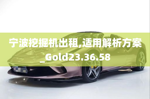 宁波挖掘机出租,适用解析方案_Gold23.36.58