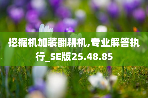 挖掘机加装翻耕机,专业解答执行_SE版25.48.85