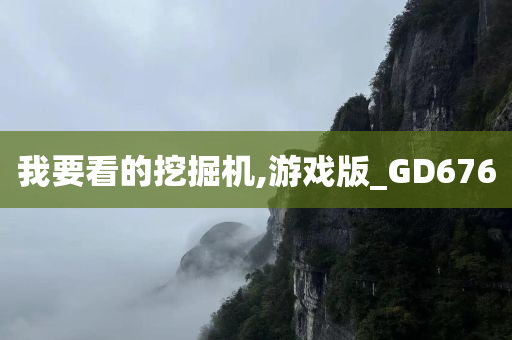 我要看的挖掘机,游戏版_GD676