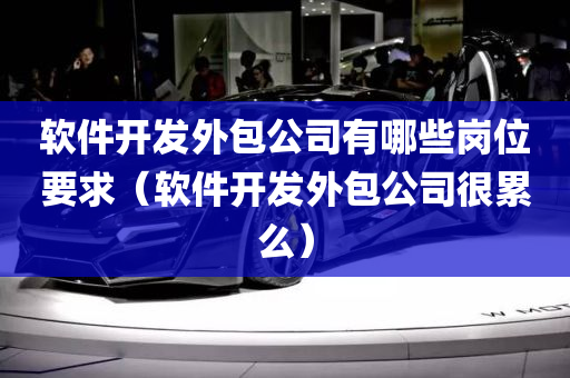 软件开发外包公司有哪些岗位要求（软件开发外包公司很累么）