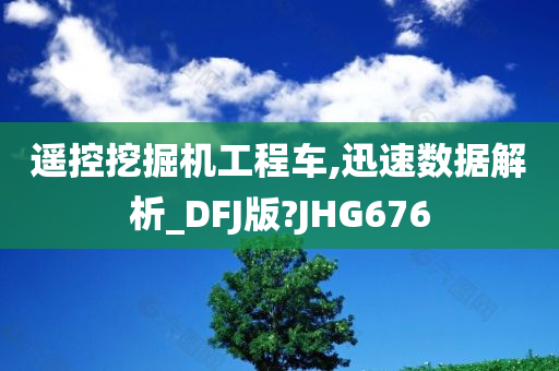 遥控挖掘机工程车,迅速数据解析_DFJ版?JHG676