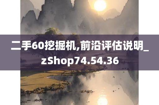 二手60挖掘机,前沿评估说明_zShop74.54.36