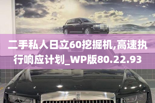 二手私人日立60挖掘机,高速执行响应计划_WP版80.22.93