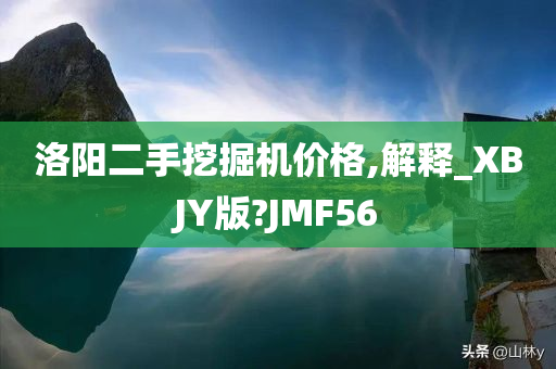 洛阳二手挖掘机价格,解释_XBJY版?JMF56