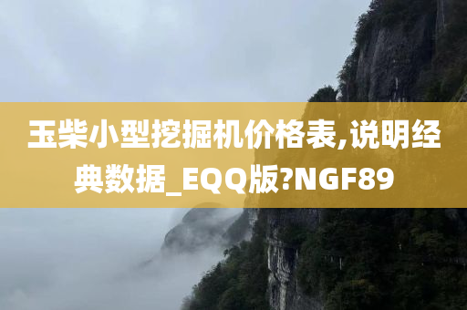 玉柴小型挖掘机价格表,说明经典数据_EQQ版?NGF89