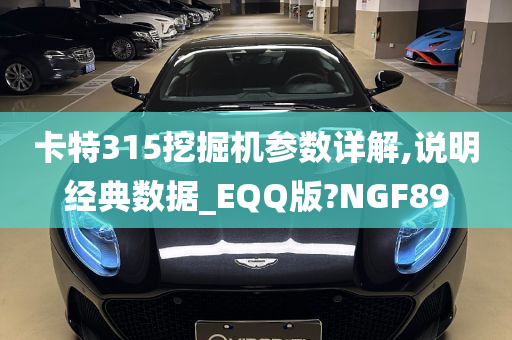 卡特315挖掘机参数详解,说明经典数据_EQQ版?NGF89