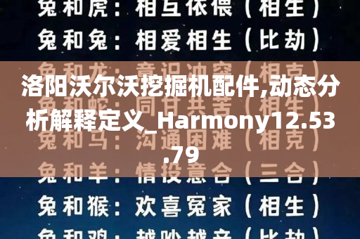 洛阳沃尔沃挖掘机配件,动态分析解释定义_Harmony12.53.79