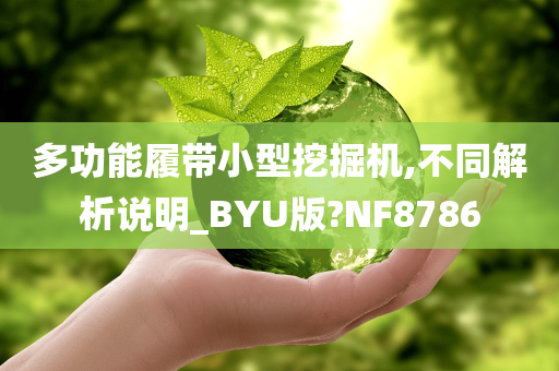 多功能履带小型挖掘机,不同解析说明_BYU版?NF8786