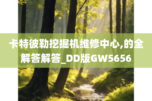 卡特彼勒挖掘机维修中心,的全解答解答_DD版GW5656