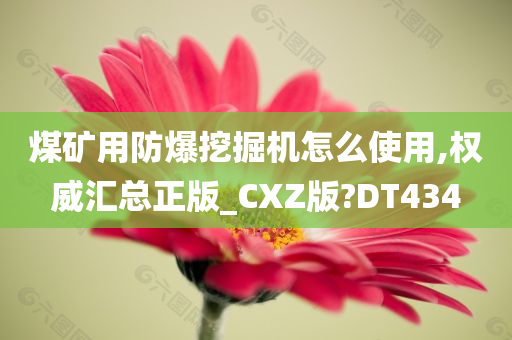 煤矿用防爆挖掘机怎么使用,权威汇总正版_CXZ版?DT434