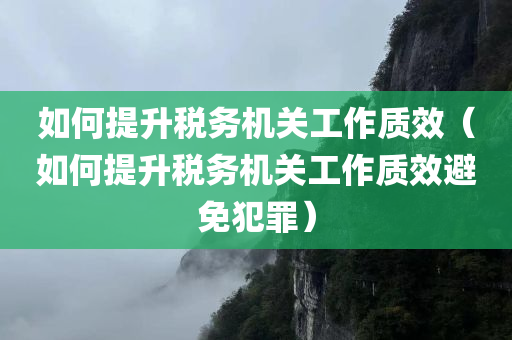 如何提升税务机关工作质效（如何提升税务机关工作质效避免犯罪）