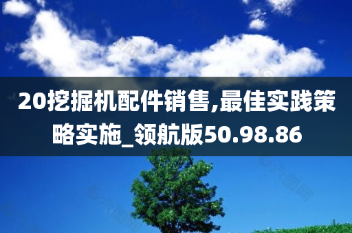 20挖掘机配件销售,最佳实践策略实施_领航版50.98.86