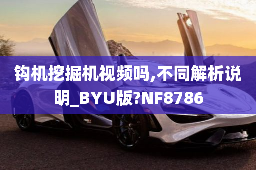 钩机挖掘机视频吗,不同解析说明_BYU版?NF8786