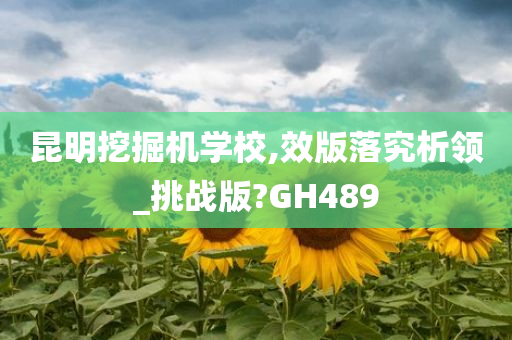 昆明挖掘机学校,效版落究析领_挑战版?GH489