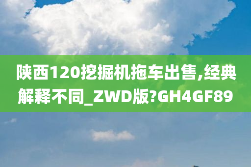 陕西120挖掘机拖车出售,经典解释不同_ZWD版?GH4GF89