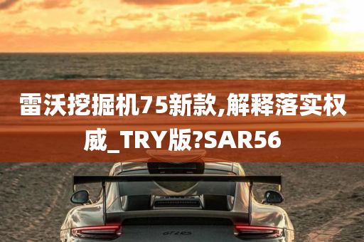 雷沃挖掘机75新款,解释落实权威_TRY版?SAR56