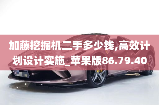 加藤挖掘机二手多少钱,高效计划设计实施_苹果版86.79.40