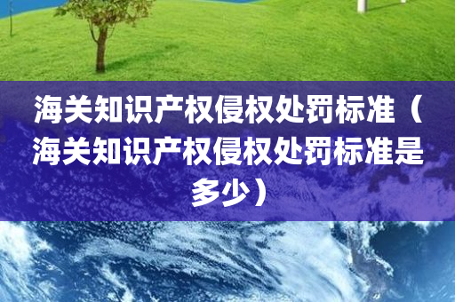 海关知识产权侵权处罚标准（海关知识产权侵权处罚标准是多少）