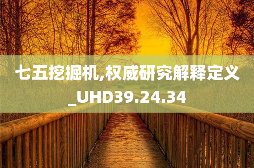 七五挖掘机,权威研究解释定义_UHD39.24.34