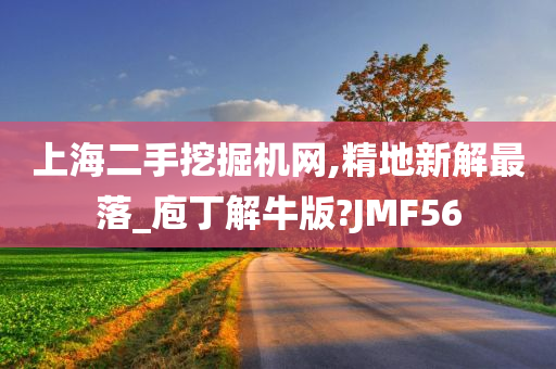 上海二手挖掘机网,精地新解最落_庖丁解牛版?JMF56