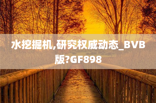 水挖掘机,研究权威动态_BVB版?GF898